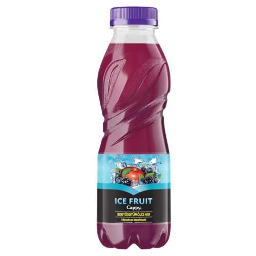 COCA Cappy Ice ErdeiGyüm. 0,5l PET - DRS