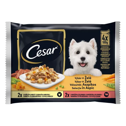 CESAR KUTYAELELEDEL 400G ASZPIK válogatás