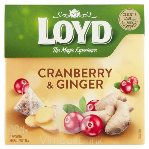 Loyd Piramis tea Gyömbér-Vörösáfonya 20*2g